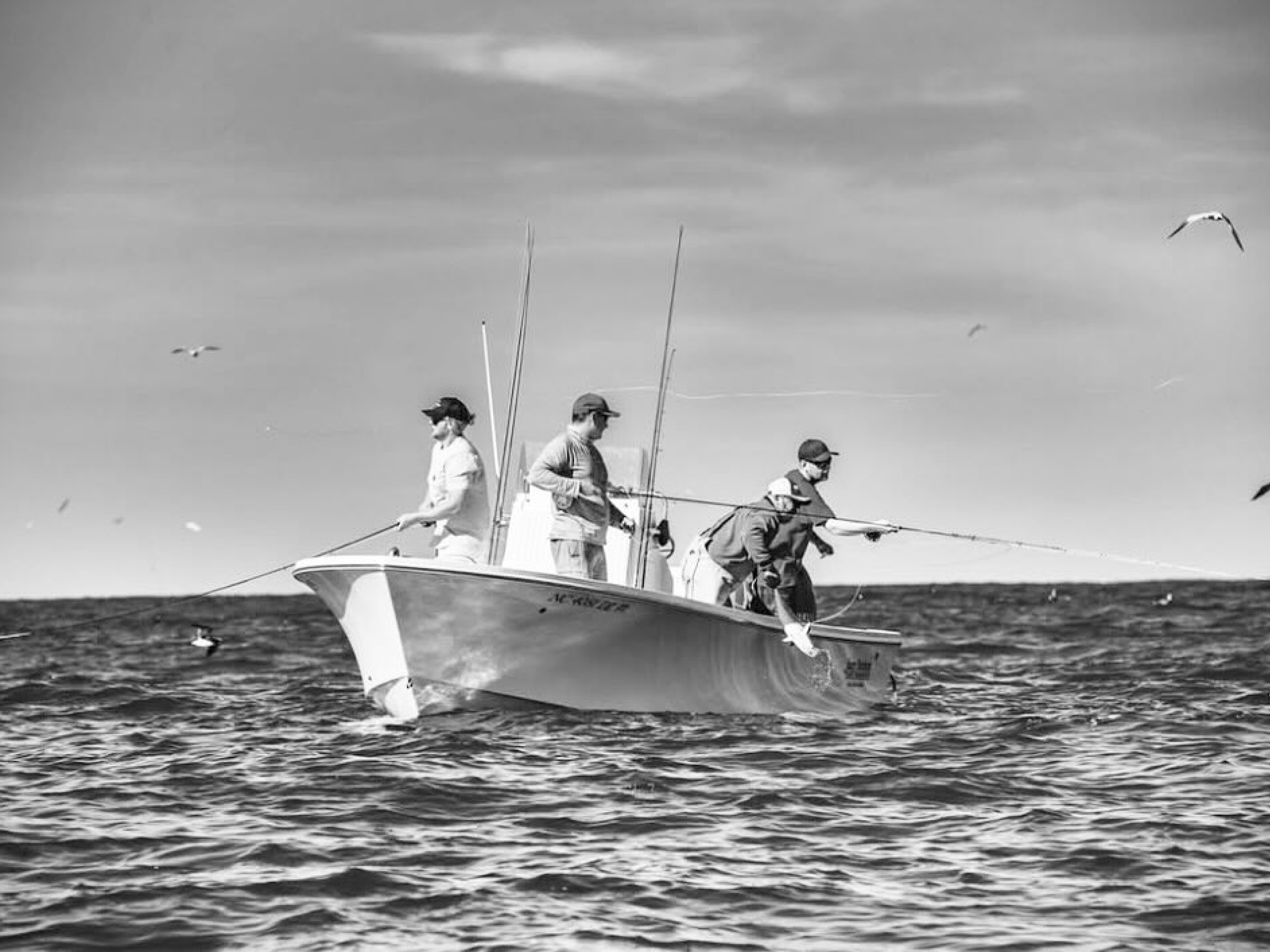 Premium Fly Fishing Action